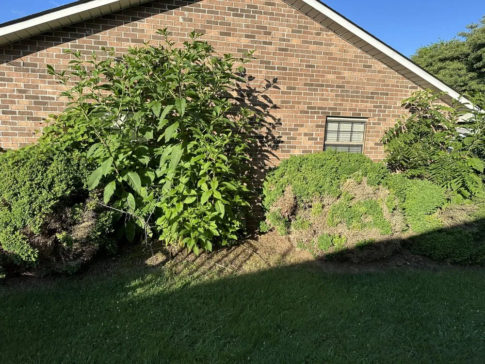 Expert garden landscaping experts serving Corryton, TN - Eagle Landscaping