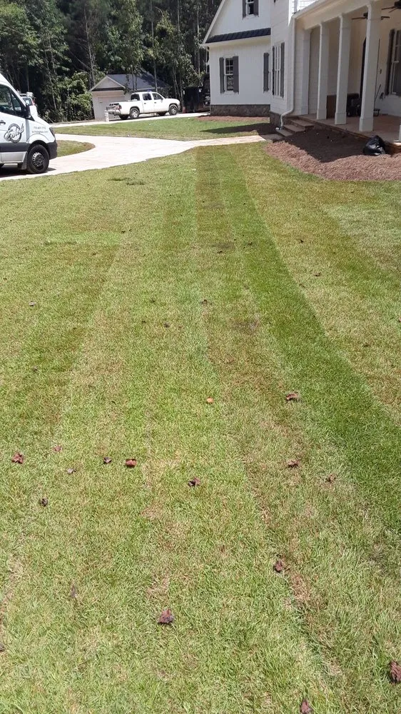 Trusted landscape installation experts serving Dawsonville, GA - Eagle landscaping