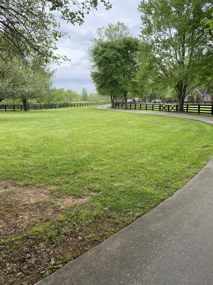 Reliable outdoor landscaping in Dawsonville, GA - Eagle landscaping