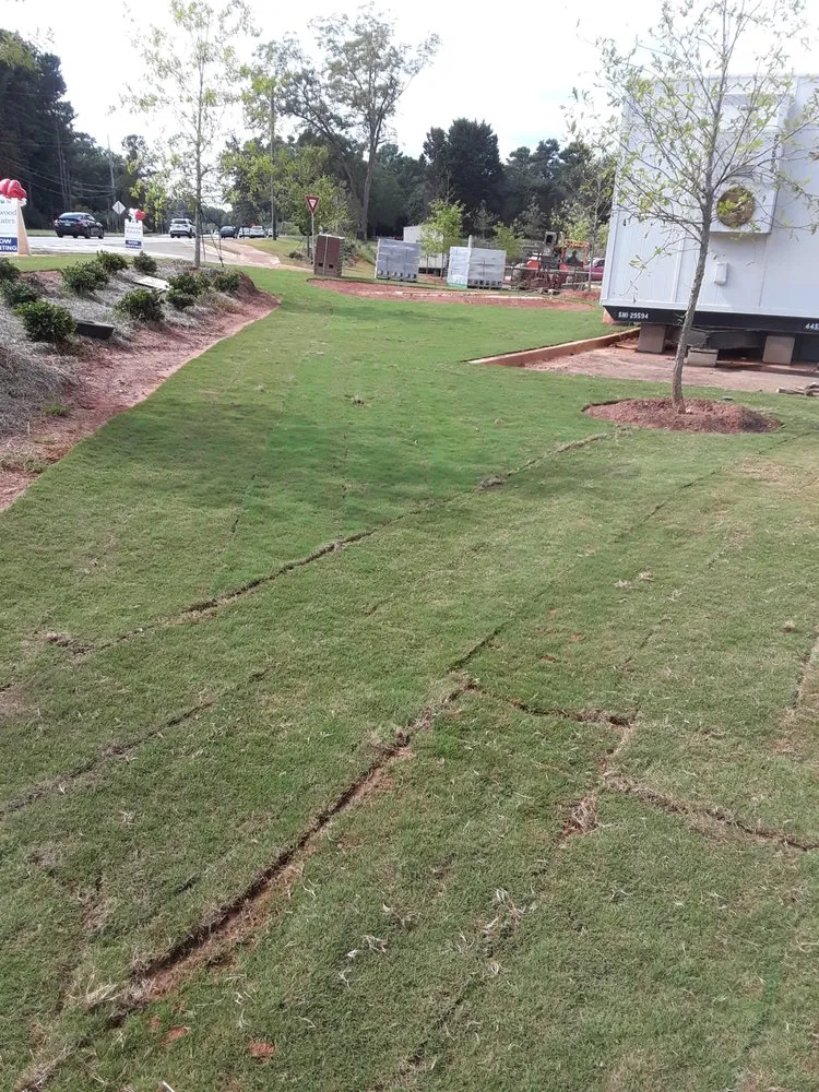 Reliable residential landscaping for residential properties in Dawsonville, GA by Eagle landscaping