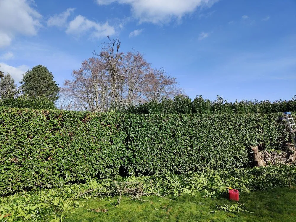 Top-rated yard cleanup service in Oak Harbor, WA - Eagle Landscaping