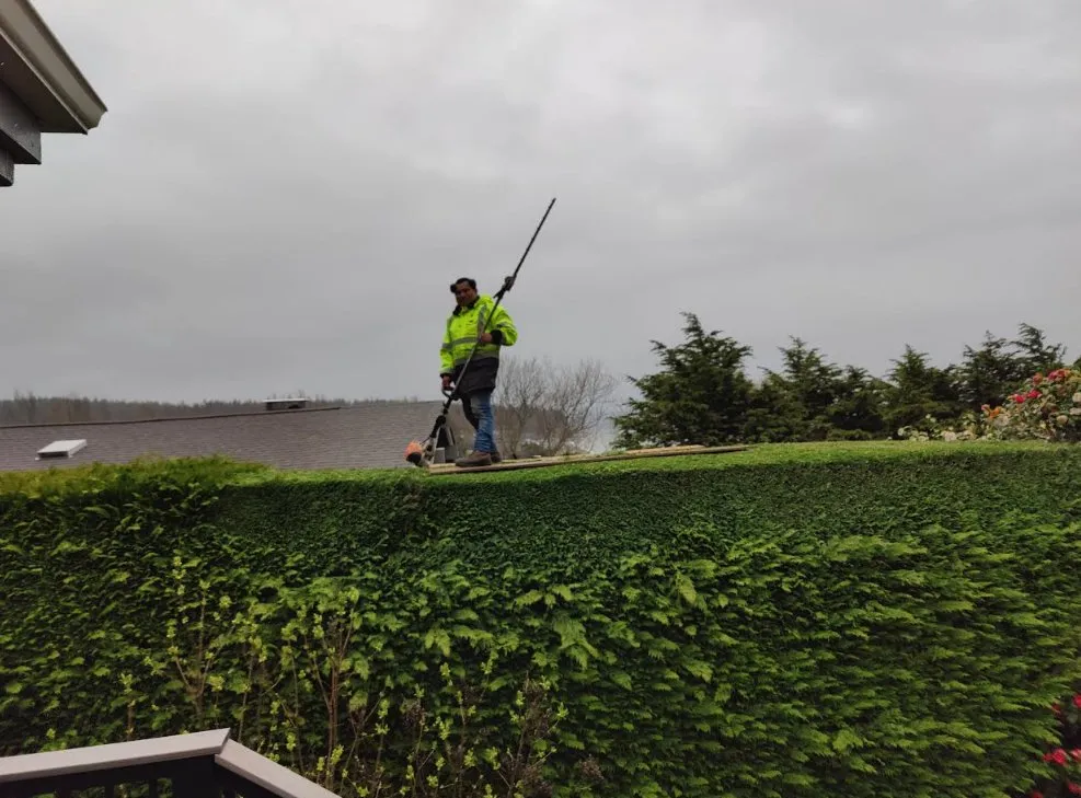 Custom landscaping services in Oak Harbor, WA by Eagle Landscaping