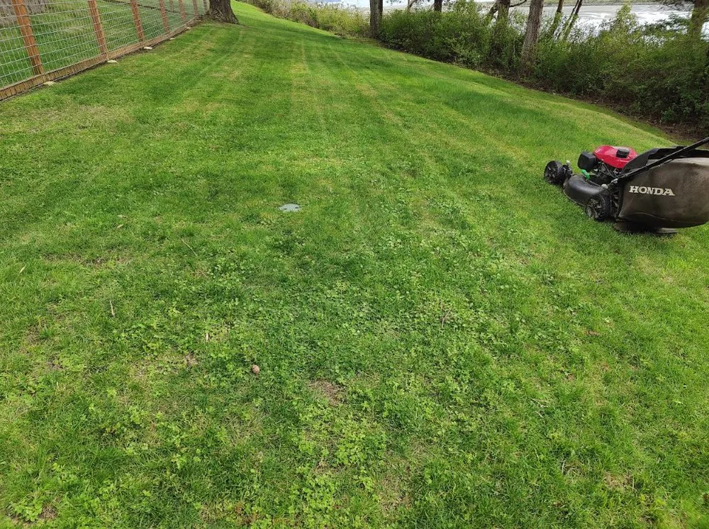 Local landscape installation with custom design in Oak Harbor, WA by Eagle Landscaping