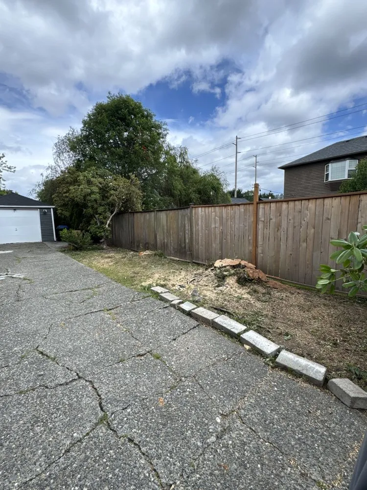 Expert landscape installation in Olympia, WA - Eagle Landscaping Services