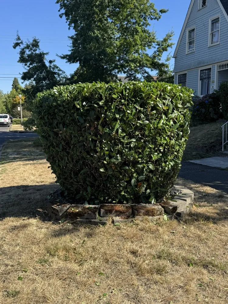 Custom landscaping services experts serving Olympia, WA - Eagle Landscaping Services