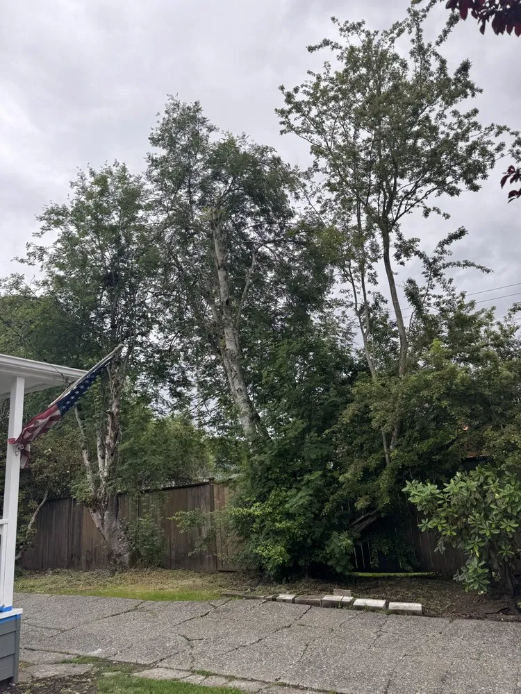 Affordable yard maintenance in Olympia, WA - Eagle Landscaping Services