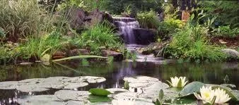 Reliable landscaping services with custom design in Towaco, NJ by Eagle Landscaping