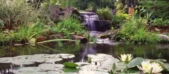 Trusted lawn mowing service experts serving Towaco, NJ - Eagle Landscaping
