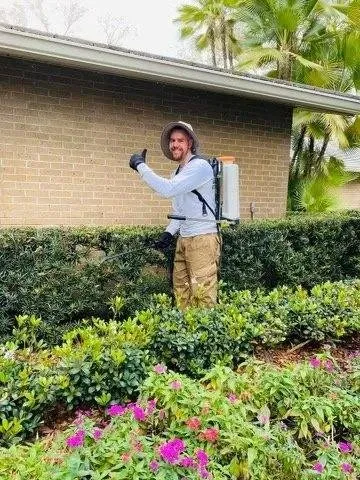 Professional yard cleanup service in Largo, FL - Eagle Lawn Care and Pest Control