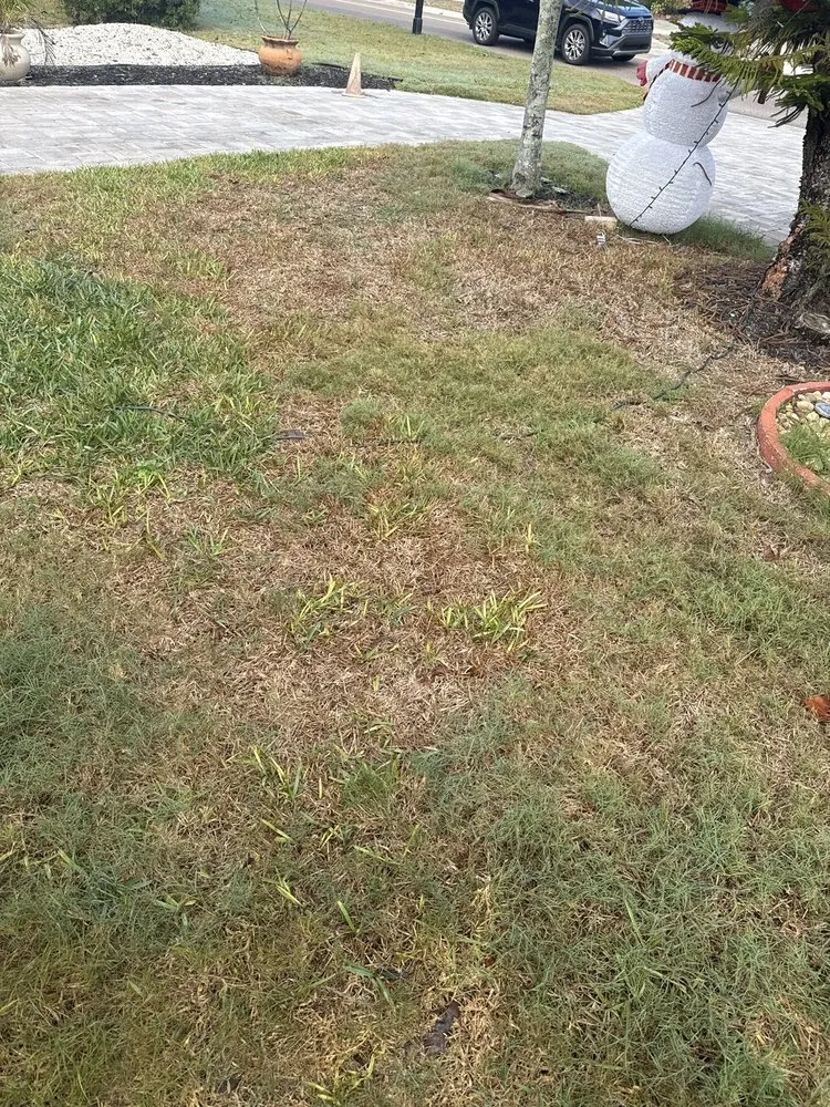 Local residential landscaping in Largo, FL by Eagle Lawn Care and Pest Control