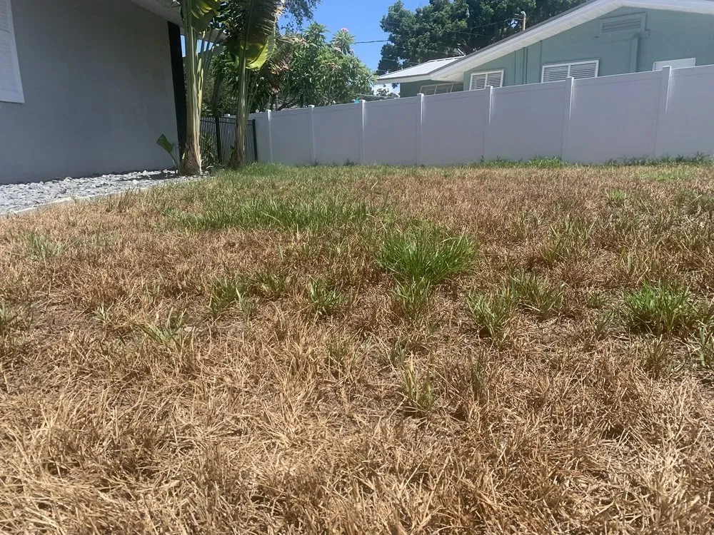 Local lawn care service for beautiful yards across Largo, FL - Eagle Lawn Care and Pest Control