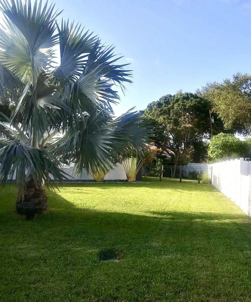 Reliable yard maintenance in Largo, FL - Eagle Lawn Care and Pest Control