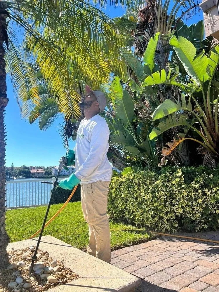 Top-rated lawn mowing service in Largo, FL - Eagle Lawn Care and Pest Control