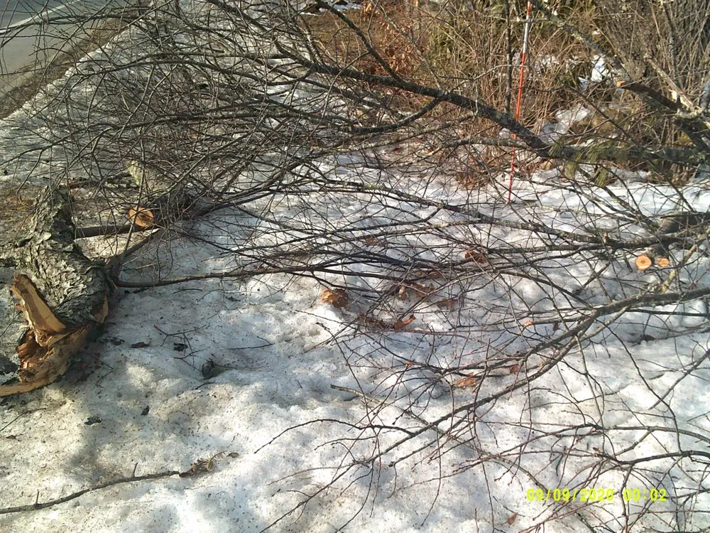 Local outdoor landscaping experts serving York, ME - Eagle Lawn Service