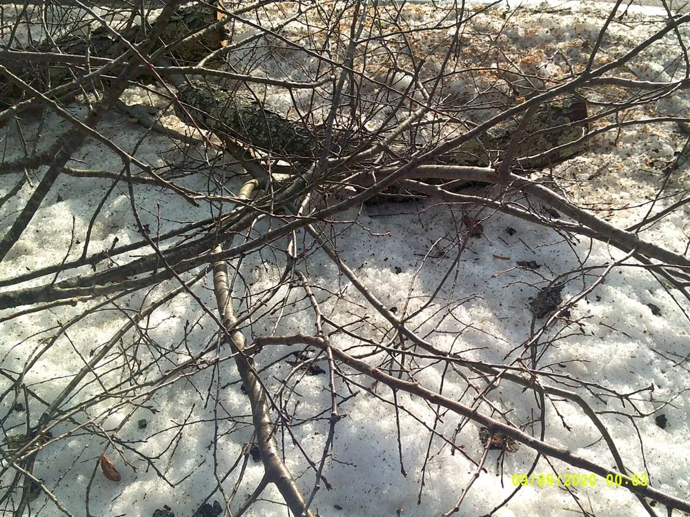 Professional outdoor landscaping in York, ME - Eagle Lawn Service