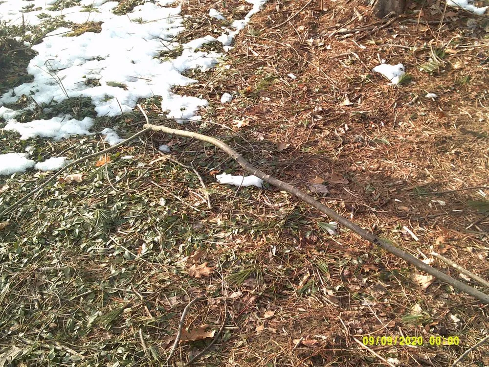 Professional landscape installation for beautiful yards across York, ME - Eagle Lawn Service