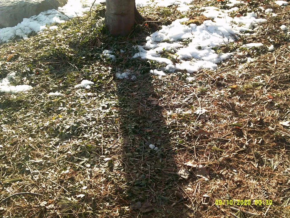 Affordable outdoor landscaping near you in York, ME by Eagle Lawn Service