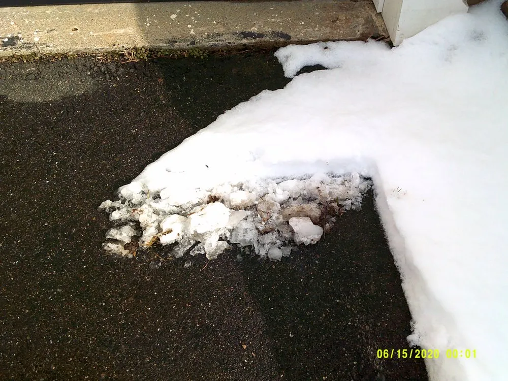 Affordable yard maintenance experts serving York, ME - Eagle Lawn Service