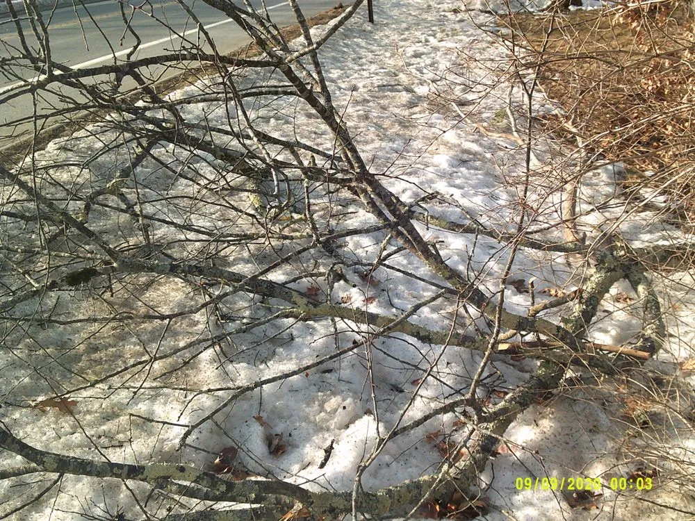 Reliable outdoor landscaping for homes across York, ME - Eagle Lawn Service