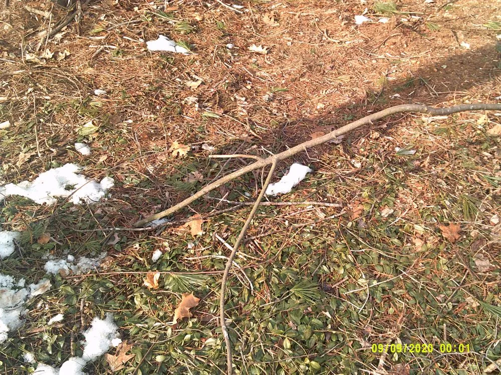 Professional residential landscaping for year-round maintenance across York, ME - Eagle Lawn Service