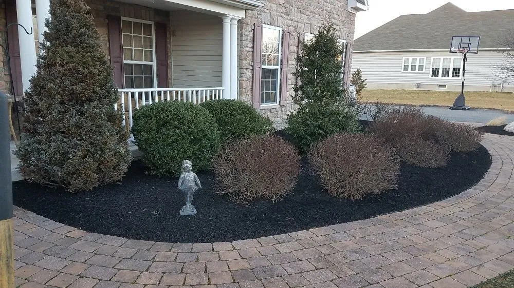 Expert yard cleanup service in Elkton, MD by Eagle Lawn Services