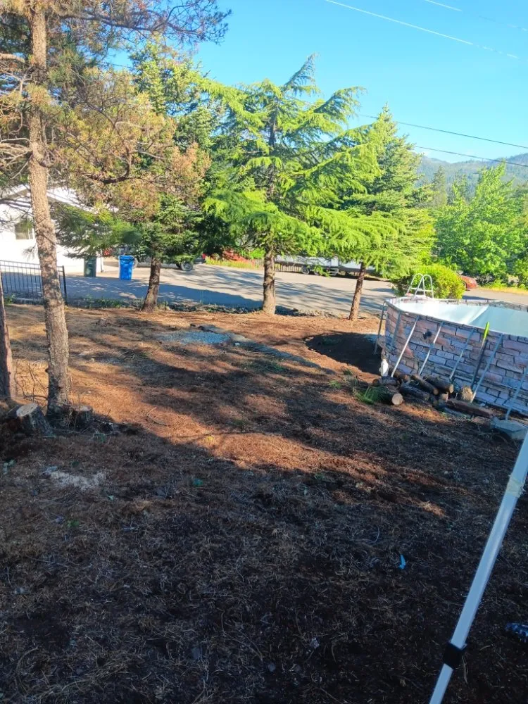 Custom yard maintenance for outdoor upgrades in Medford, OR by Eagle One