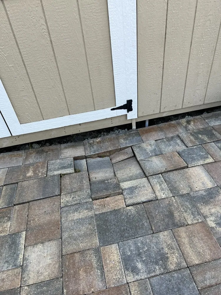 Expert lawn care service experts serving Bradenton, FL - Eagle Pavers Services