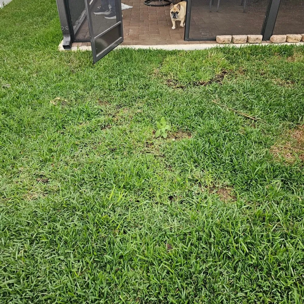 Custom landscape design in Bradenton, FL - Eagle Pavers Services