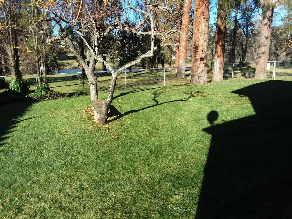 Affordable lawn care service near you across Eagle Point, OR - Eagle Point Lawncare & Landscape Maintenance