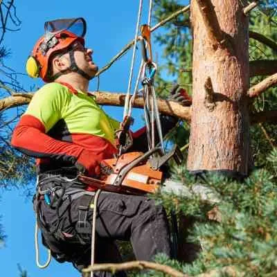 Reliable yard maintenance for beautiful yards in Lynn, MA by Eagle Pro Landscape & Construction