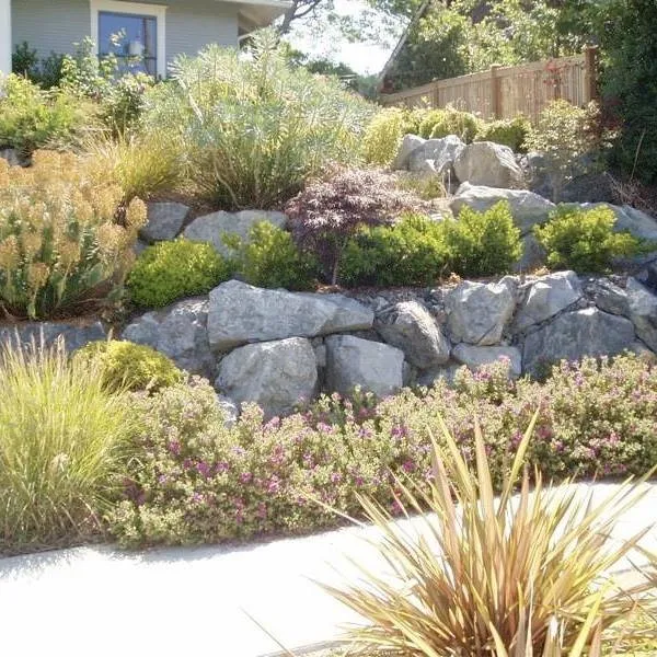 Professional lawn care service experts serving Seattle, WA - Eagle Rock Construction