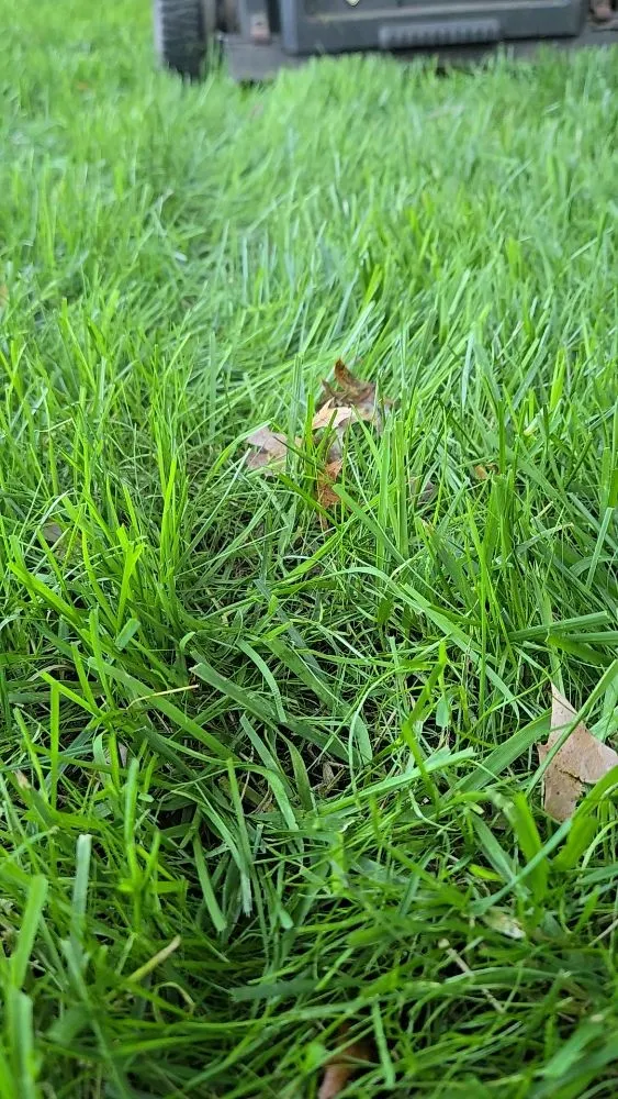 Affordable landscape installation in Shirley, NY by Eagle Roots Lawn Care