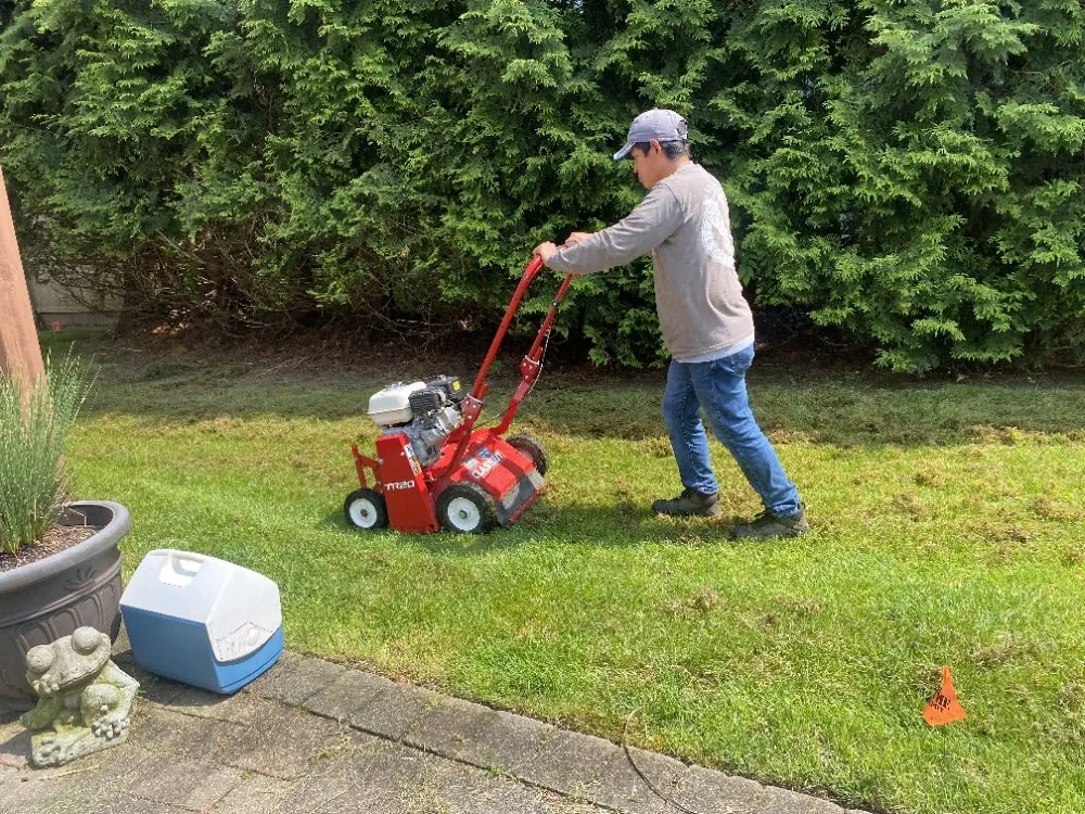 Local residential landscaping in Shirley, NY - Eagle Roots Lawn Care