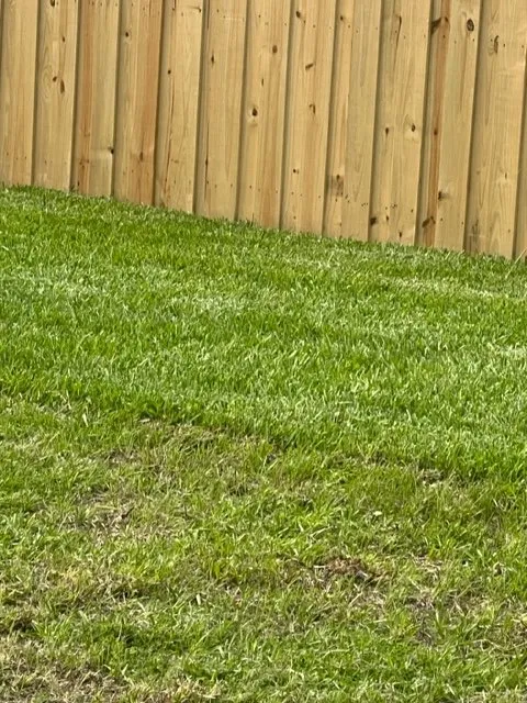 Top-rated lawn care service for beautiful yards in Port St. Lucie, FL by Eagle Sod & Landscape