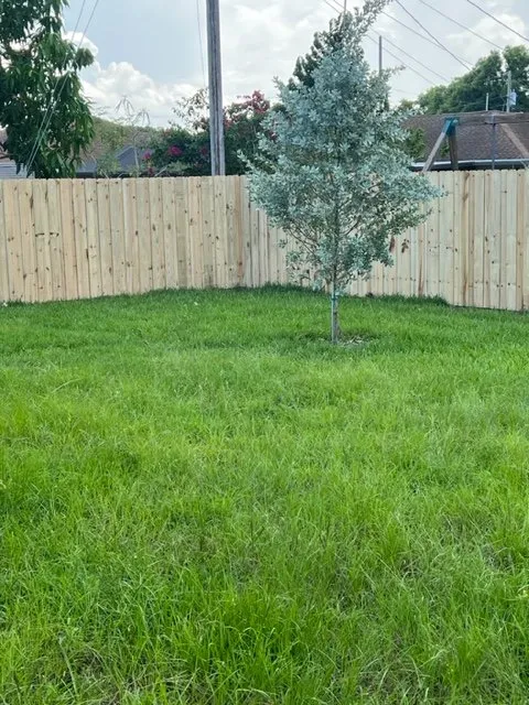 Reliable yard cleanup service in Port St. Lucie, FL - Eagle Sod & Landscape