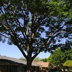 Local landscaping services in San Marcos, TX by Eagle Tree & Lawn Care