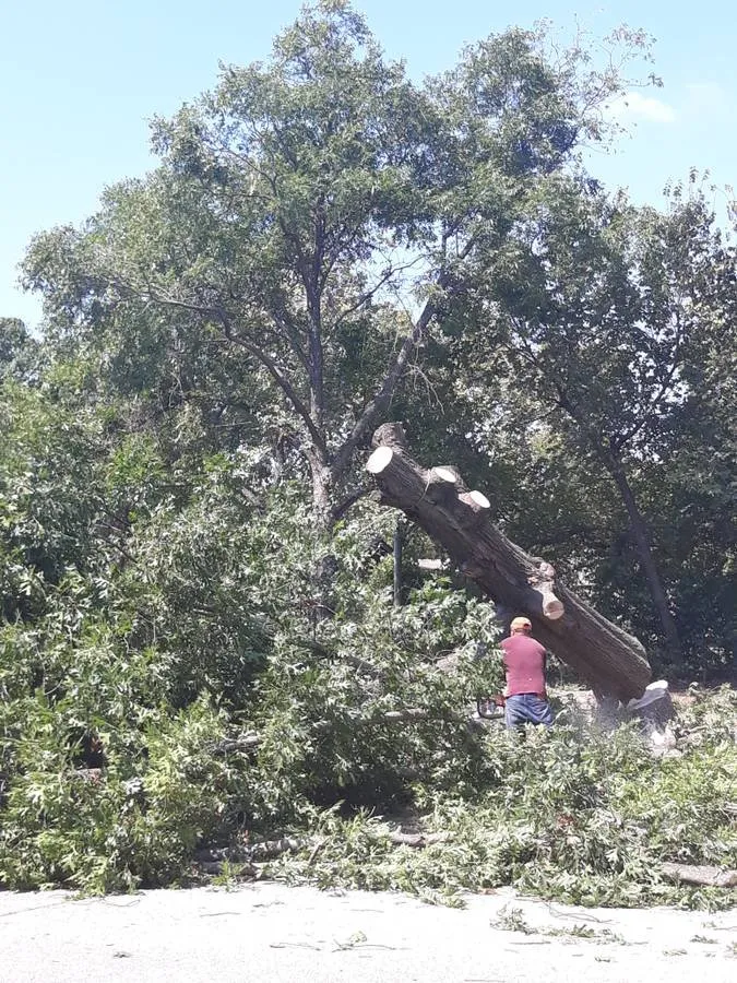 Custom outdoor landscaping experts serving San Marcos, TX - Eagle Tree & Lawn Care