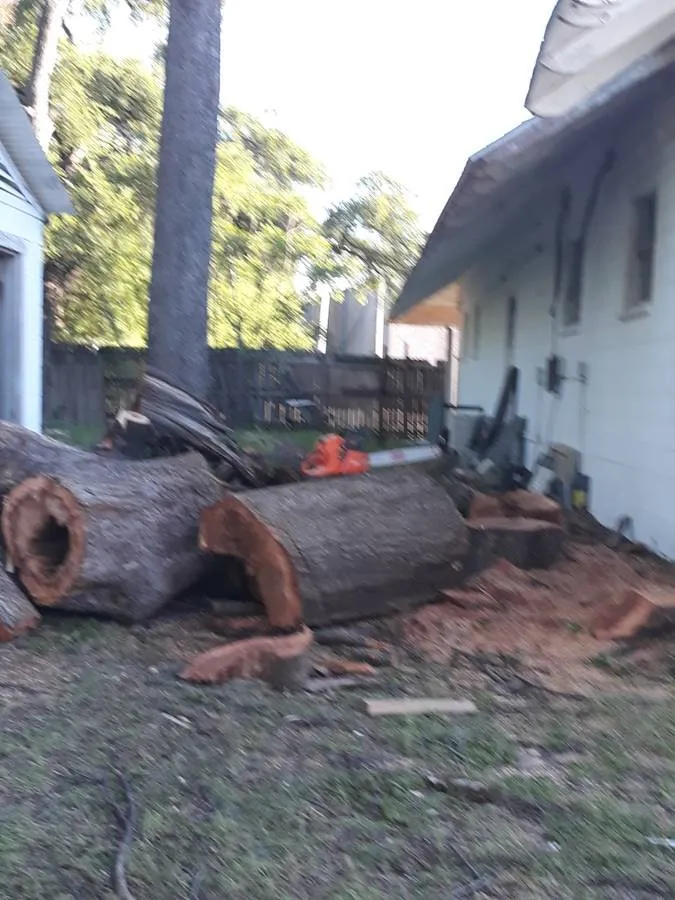 Affordable lawn care service for outdoor upgrades in San Marcos, TX by Eagle Tree & Lawn Care