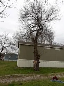 Top-rated yard cleanup service in San Marcos, TX - Eagle Tree & Lawn Care