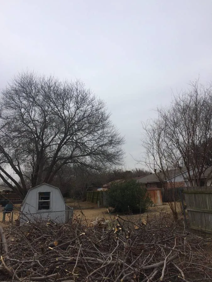 Local landscape design in San Marcos, TX - Eagle Tree & Lawn Care