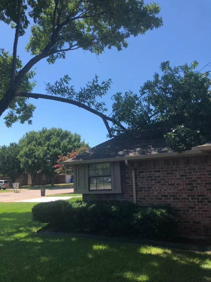 Custom yard maintenance in San Marcos, TX - Eagle Tree & Lawn Care