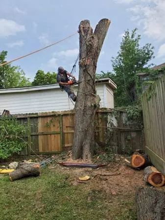 Trusted outdoor landscaping in San Marcos, TX by Eagle Tree & Lawn Care