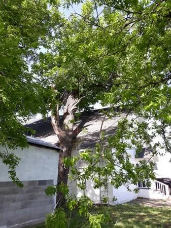 Affordable residential landscaping for residential properties in San Marcos, TX by Eagle Tree & Lawn Care