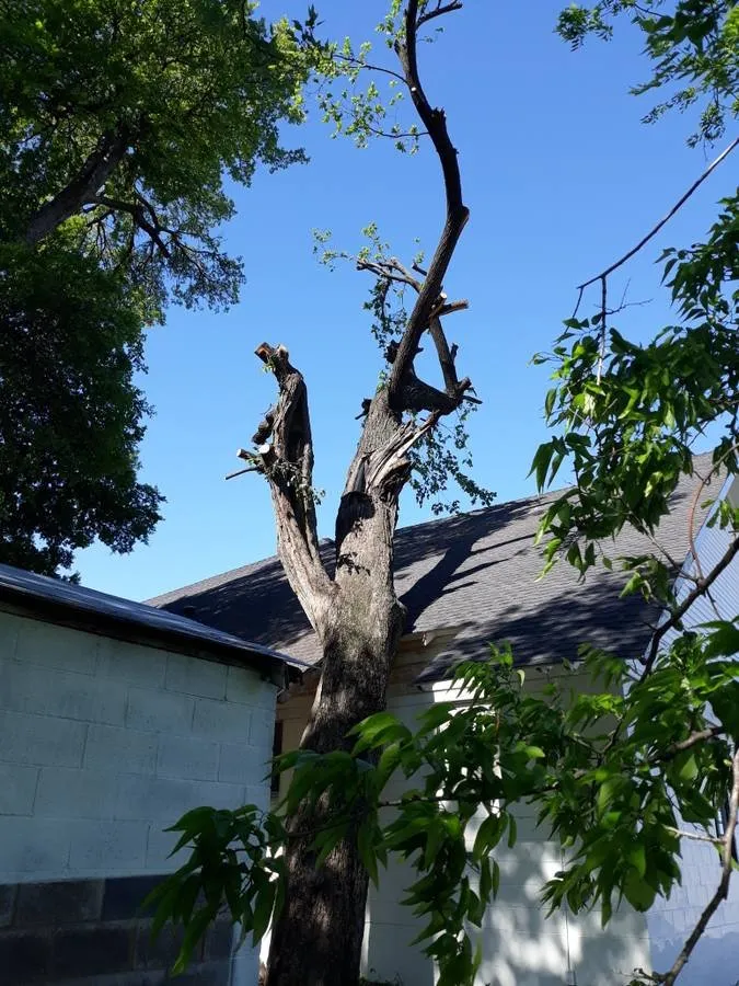 Trusted landscape installation experts serving San Marcos, TX - Eagle Tree & Lawn Care