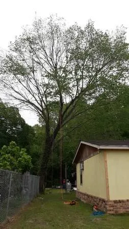 Custom yard maintenance in San Marcos, TX by Eagle Tree & Lawn Care