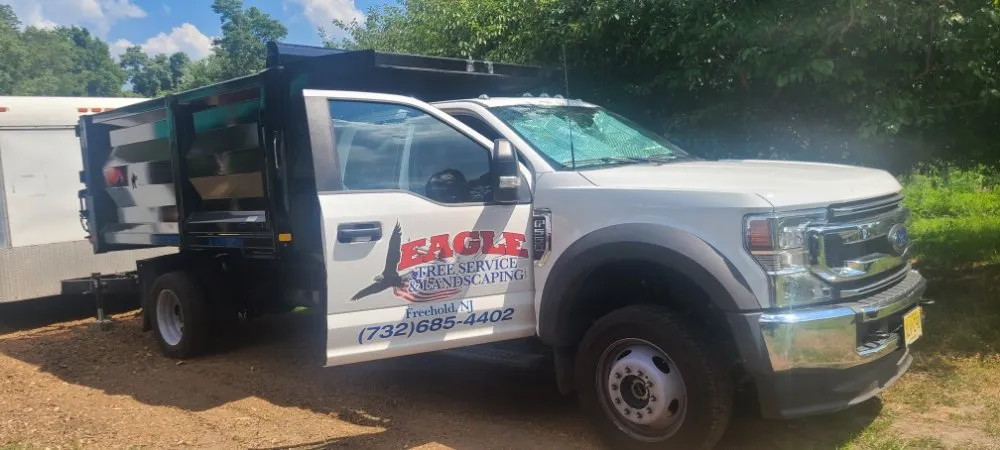 Affordable lawn mowing service near you in Freehold, NJ by Eagle Tree Service