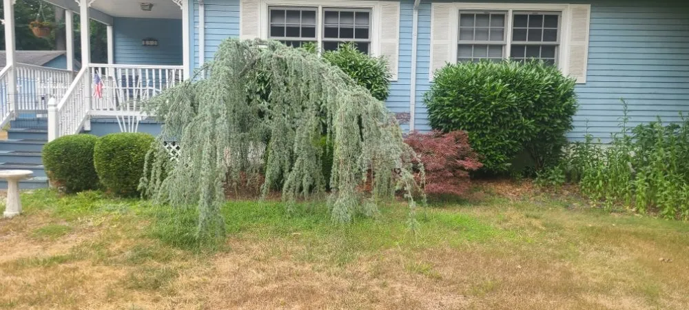 Affordable landscape installation in Freehold, NJ by Eagle Tree Service