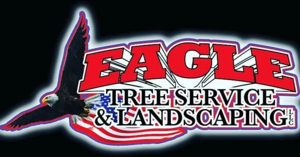 Expert yard cleanup service in Freehold, NJ by Eagle Tree Service