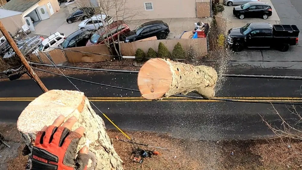 Professional landscaping services for beautiful yards across Freehold, NJ - Eagle Tree Service