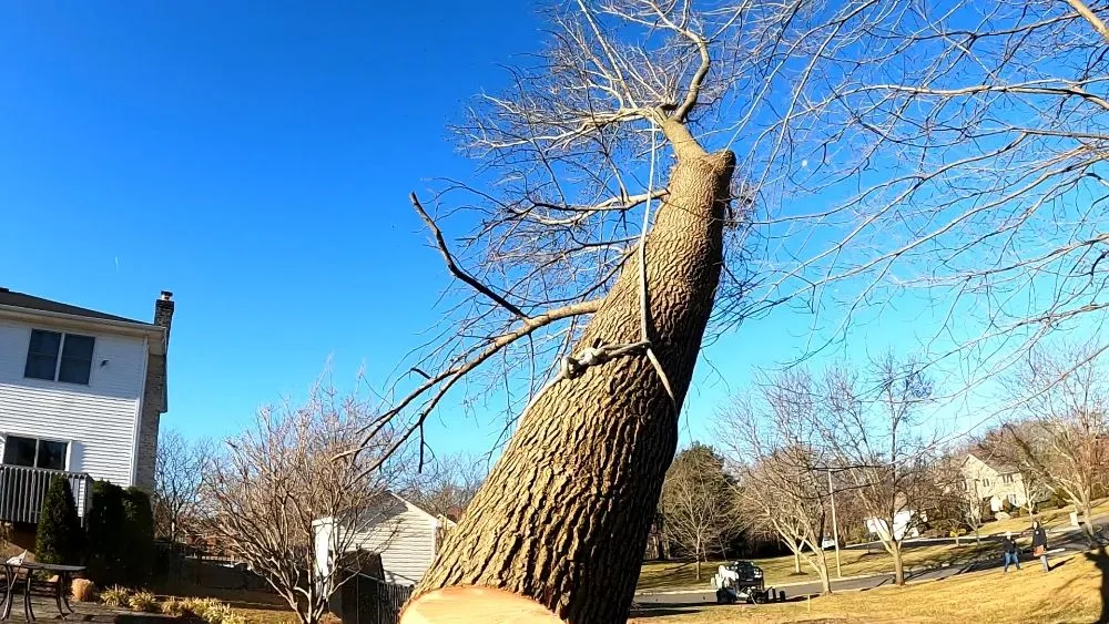 Custom lawn care service with custom design in Freehold, NJ by Eagle Tree Service